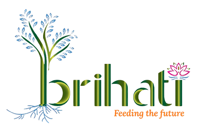 Brihati logo - client of ink.company
